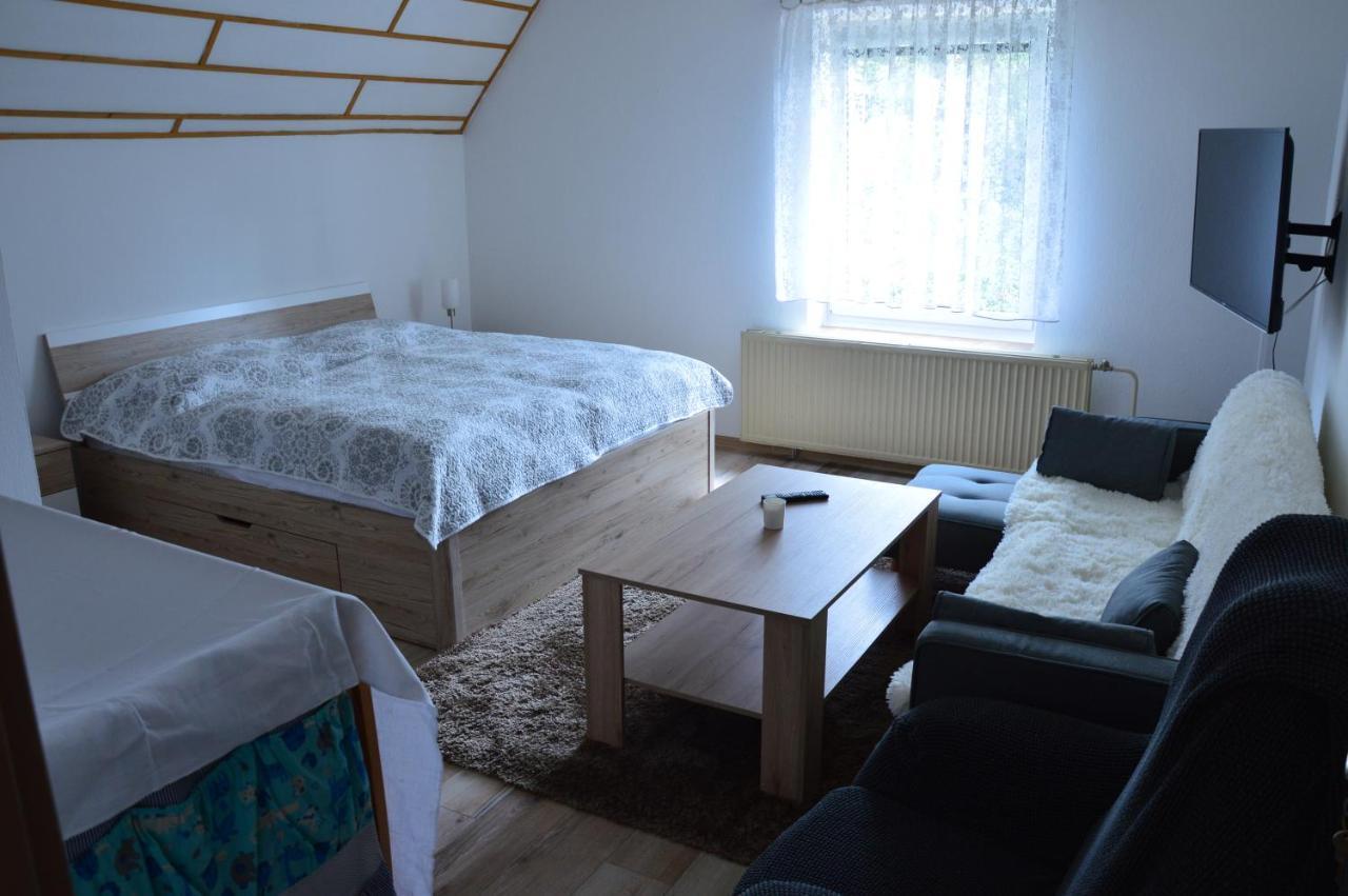 Horsky Apartman Pod Zelenou Strechou Bartosovice v Orlickych Horach Ngoại thất bức ảnh