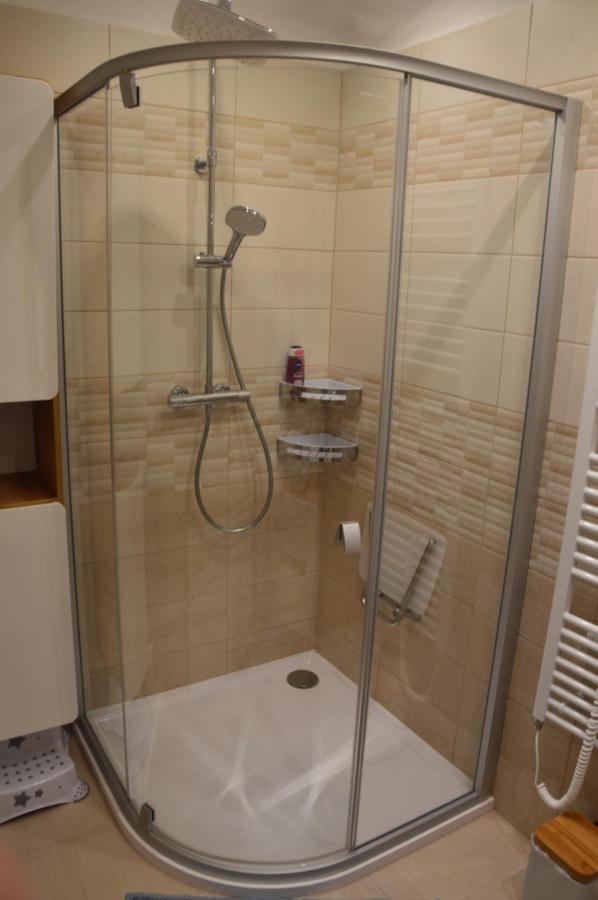 Horsky Apartman Pod Zelenou Strechou Bartosovice v Orlickych Horach Ngoại thất bức ảnh